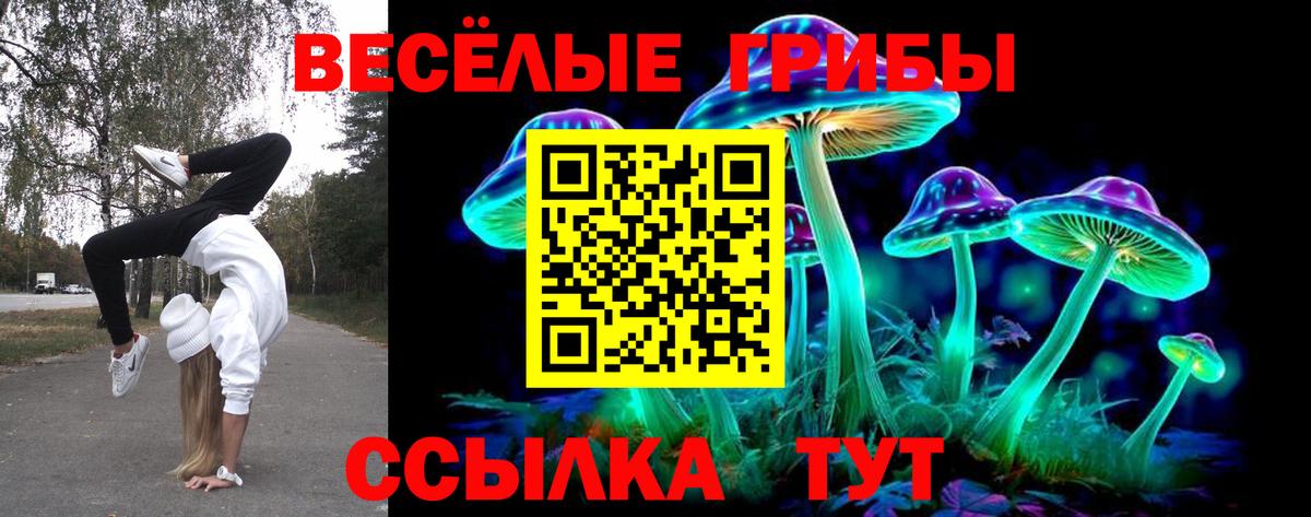 Керчь  цены   Псилоцибиновые грибы прущие грибы  Вход с VPN  Галлюциногенные грибы Psilocybe 